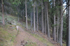 E616-ldp007-50-p01-181024-ED