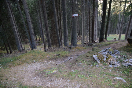 E616-ldp007-50-p02-181024-ED