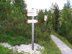 E618-ldp003-00-d1-160903-EG-0186