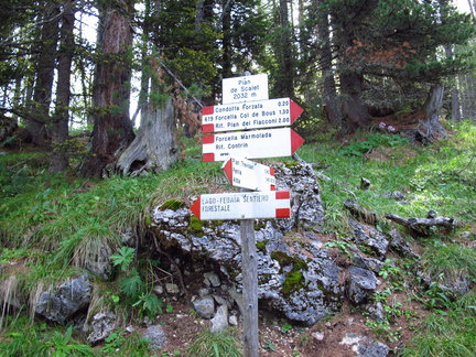 E619-ldp002-00-d1-160903-EG-0142