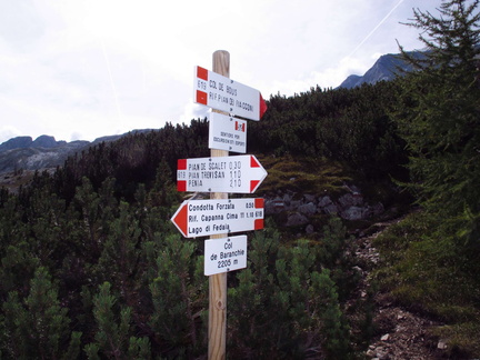 E619-ldp003-00-d1-160903-EG-0153