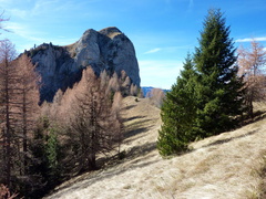 E620-Seleta-Pesmeda-tizgiampi