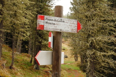 E621-ldp001-00-d2-TD-160601