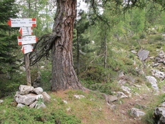 E622-ldp007-00-p01-210914-EG