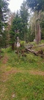 E623-ldp004-01-p02-250817-EF