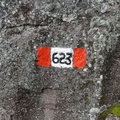 E623-DSC02387