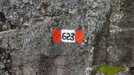 E623-DSC02387