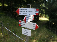 E624-ldp008-00-d1-070920-LB