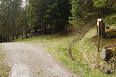 E626-ldp003-00-p1-TD-160601