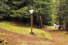 E626-ldp005-00-p1-TD-160601