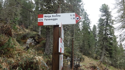 E626-ldp008-00-d2-ED-160601