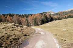 E626-02112020-td-6370-56