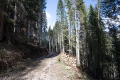 E635-061020-td-5849-42