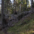 E635-061020-td-5874-67