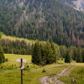 E641-ldp003-00-p3-060724-PB (34 visite) E641-ldp003-00-p3-060724-PB