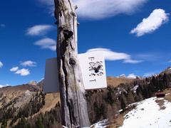 E641-ldp004-00-d2-170422-EG