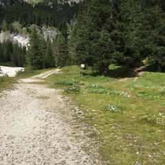 E647-ldp001-00-d01-030817-EV