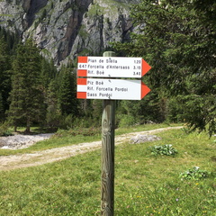 E647-ldp001-00-d03-030817-EV