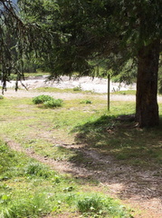 E647-ldp001-00-d04-030817-EV