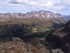 IMG-0186-CimaJuribrutto