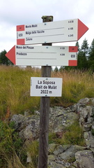 E659-ldp003-00-d01-230802-MB