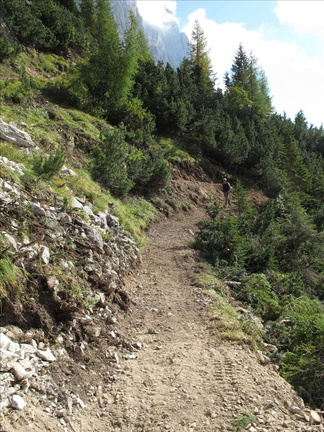 E702-111003-LB-5180 (38 visite) E702-111003-LB-5180