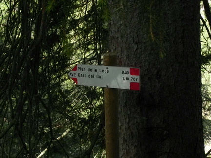 E707-ldp005-80-d01-160629