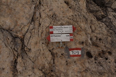 E709-ldp008-00-d1-160629