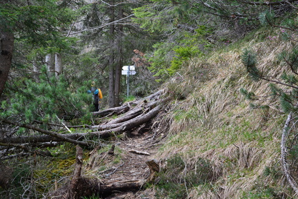 E711-ldp003-00-p1-170416-RF-0202