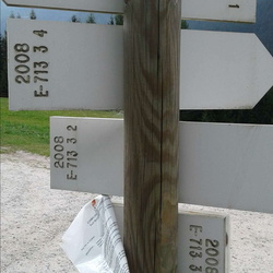 E713