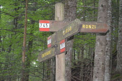 E717-ldp002-00-d1-170615-RF-0115