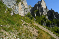 E718-ldp004-00-p1-170827-RF-0170