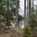 E718-ldp006-00-p2-170416-RF-0169