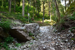 E719-ldp000-00-p2-160904-RF