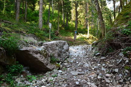 E719-ldp000-00-p2-160904-RF