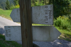 E719-ldp000-01-d2-160904-RF-0309