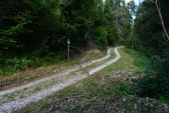 E719-ldp001-01-p1-160904-RF-0327