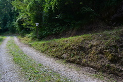 E719-ldp001-01-p3-160904-RF-0330