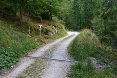 E719-ldp010-00-p1-160904-RF-0358