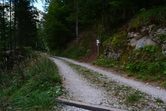 E719-ldp010-00-p2-160904-RF-0361