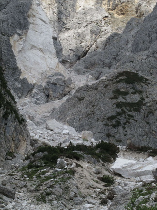 IMG-9062 (59 visite) IMG-9062