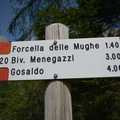 E720-ldp001-00-d1-170827-RF-0201 (5 visite) E720-ldp001-00-d1-170827-RF-0201