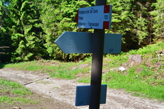 E723-ldp029-00-d2-160628