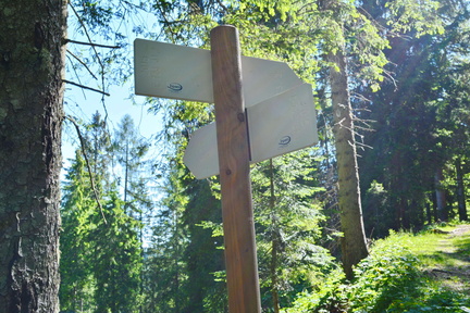 E723-ldp031-00-d2-160628