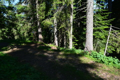 E723-ldp031-00-p1-160628