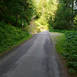 003-00