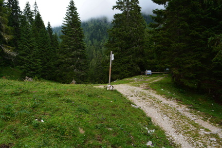 E727-ldp015-00-p1-RF-160802