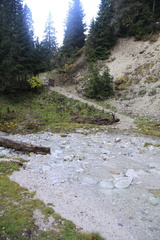 E727A-131025-td-7950