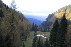 E727A-131025-td-7958