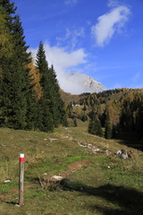 E727A-131025-td-8102